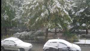 Честит първи сняг