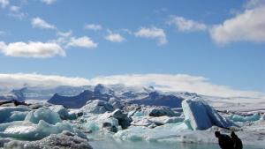 След 10 години ледът в Арктика ще се стопява през