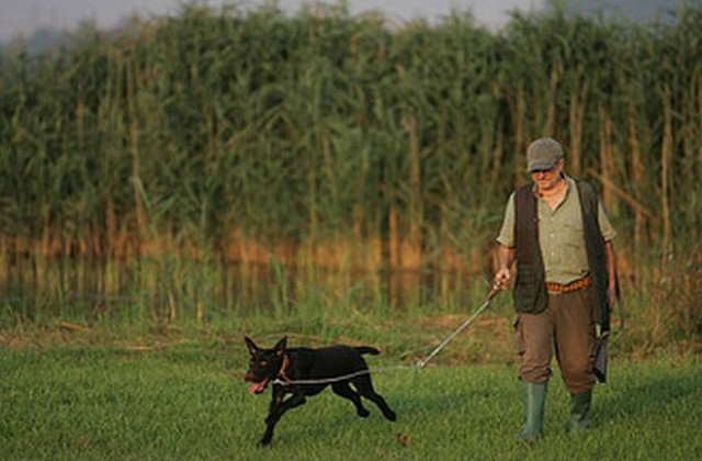 И горските тръгват с дрегери?