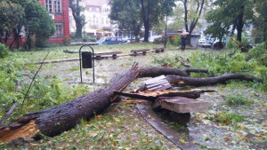 Основни пътни артерии във Варна са блокирани заваля първият сняг