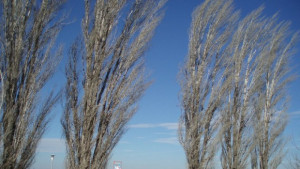 В Силистренско сняг преваля само в Дуловския район