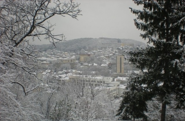 Утре няма да има  дървена ваканция