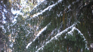 Шипка е затворена за движение пътното платно се разчиства