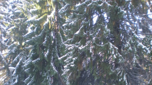 Шипка вече е отворена за движение