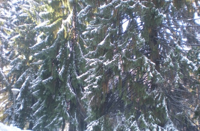 Шипка вече е отворена за движение