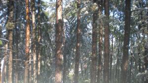 И пътят за Узана вече е проходим