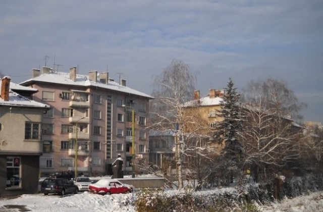 Световен ден за борба с остеопорозата