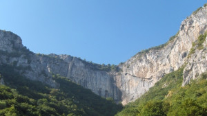 Ученици садят лечебни храсти