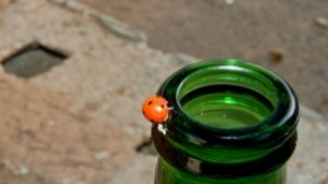 Без алкохол в изборния ден