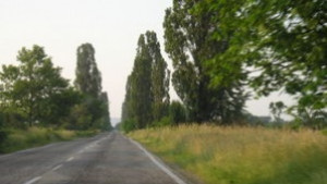 Верижна катастрофа отне живота на жена
