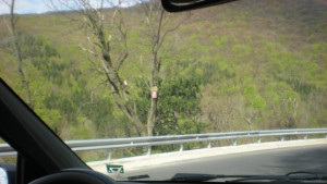 Хванаха пиян шофьор с 228 промила