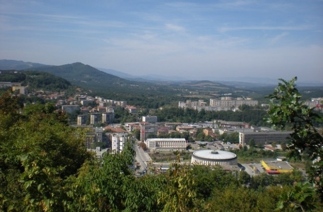 Доброволци помагат на хората с опорно-двигателни проблеми в изборния ден