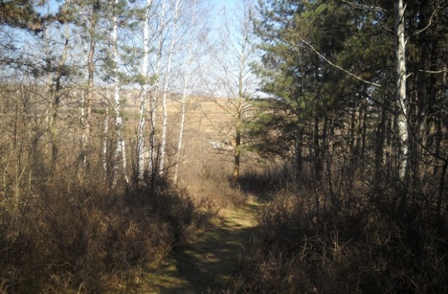 Делото за убитото момиче в Мездра влиза в съда