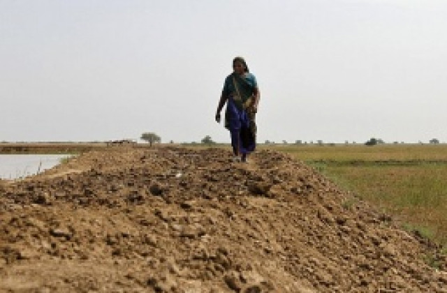 Две трети от хората по света без социални осигуровки