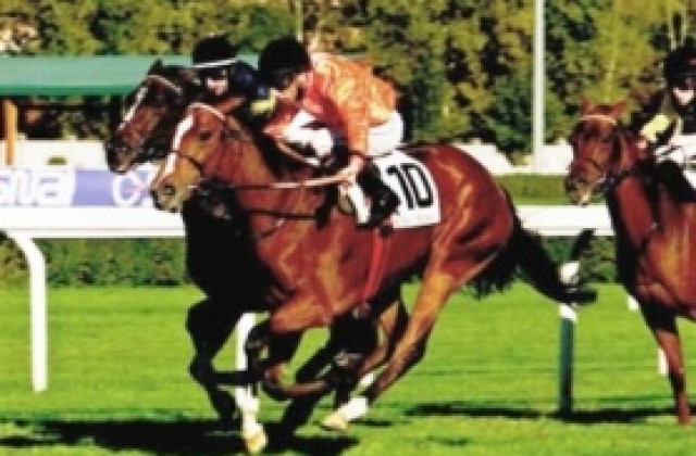 ВИДЕО: Коне на Литекс печелят груповите бягания в Милано и Рим