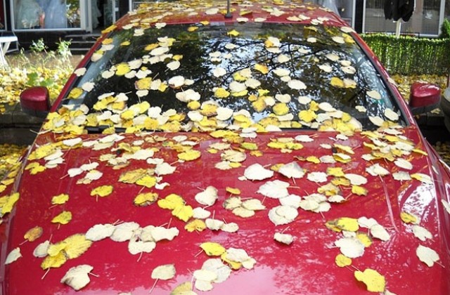 От минус 9 до 20 градуса ни очакват през ноември