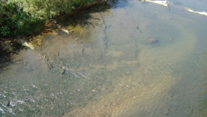 Къде няма да има вода