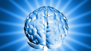 ДНК на мозъка се променя с годините