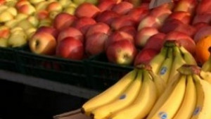 Врачани не искат Училищен плод