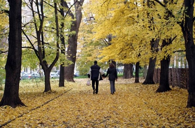 Близо 30% от хората работят над 10 часа на ден