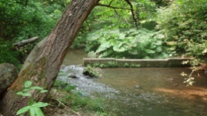 Старозагорски ученици начело на Младежкия воден парламент в България