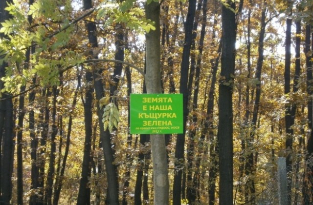 Екопътека откриха в ЦДГ Младост