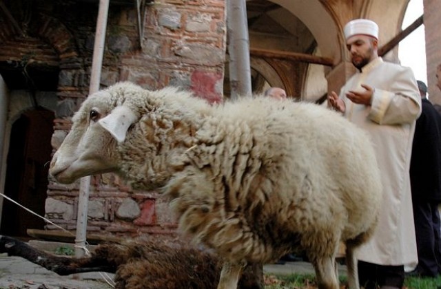 Мюсюлманите честват Курбан байрам