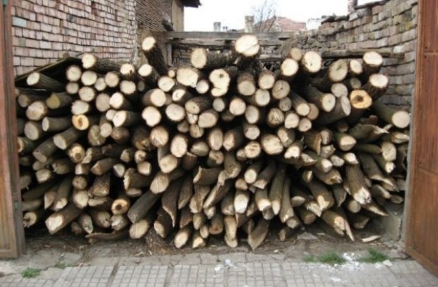 Иззеха 1000 куб. м. незаконна дървесина