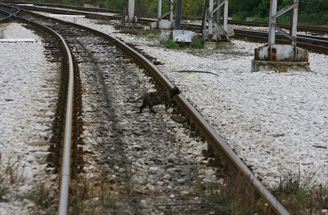 Стачка сковава железниците от 24 ноември