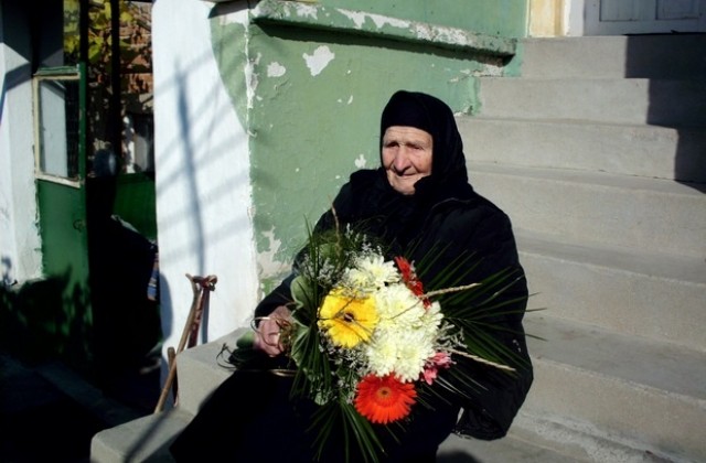 Столетница в Община Нова Загора