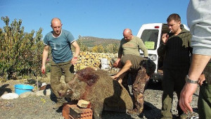 Ловна дружинка от Кърджали отстреля 235килограмов глиган
