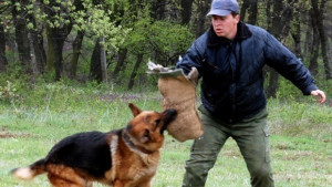 На Архангеловден празнуват полицаите