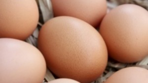 Искат затвор за продукти с изтекъл срок на годност
