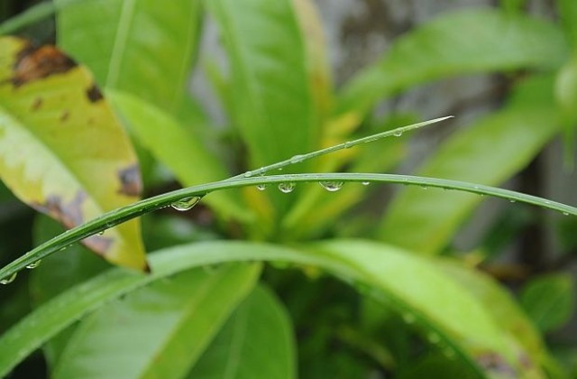Австралиец произвежда вода от въздуха