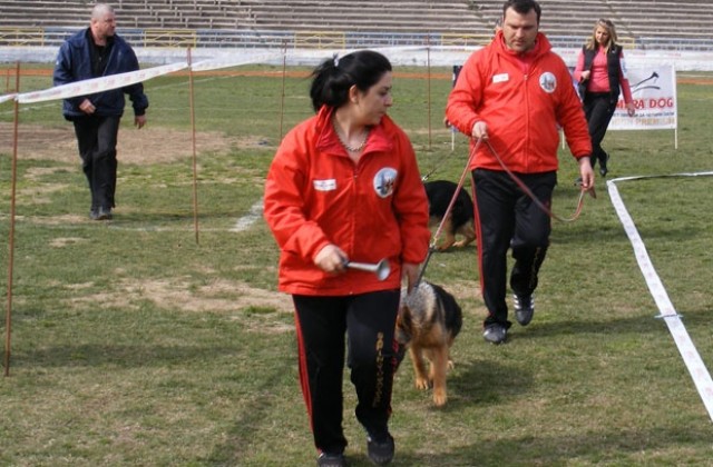 Тренировъчен лагер Спорт с кучета на стадион Раковски