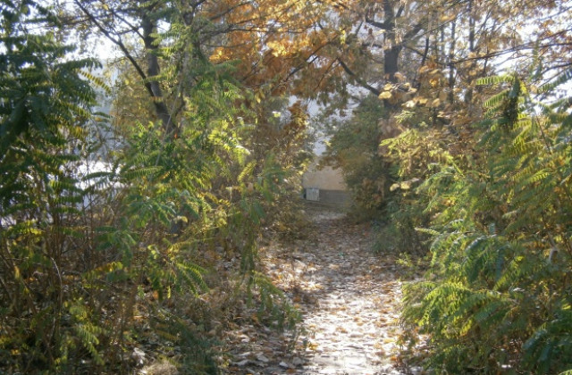 Разкъсана облачност