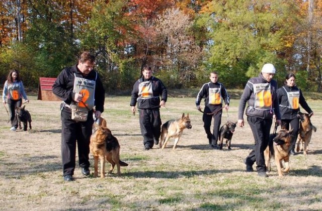 Над 20 елитни кучета показват следа, послушание и защита