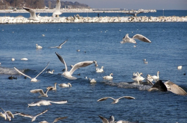 Снегът се отлага