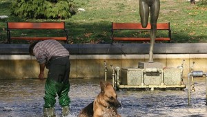 Над 70 от домашните любимци в София имат чип