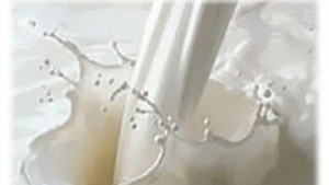 Сивата икономика сред млекопреработвателите