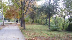 Слънчево но студено