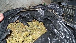 Откриха чували с индийски коноп в дома на 67годишна