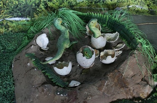 Намериха яйца на динозаври, откраднати преди години в Румъния