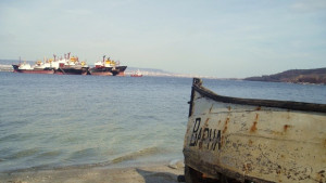 Още един кораб отива за скрап срещу европремия