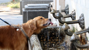 Част от Виница е без вода
