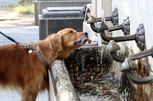 Част от Виница е без вода