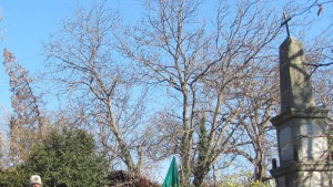 Надежда за реставриране на паметника в Боженци