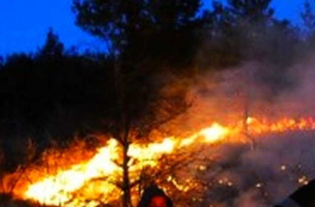 Пожар избухна в парк Пирин