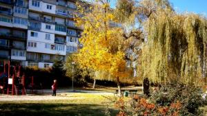 Ясно и тихо