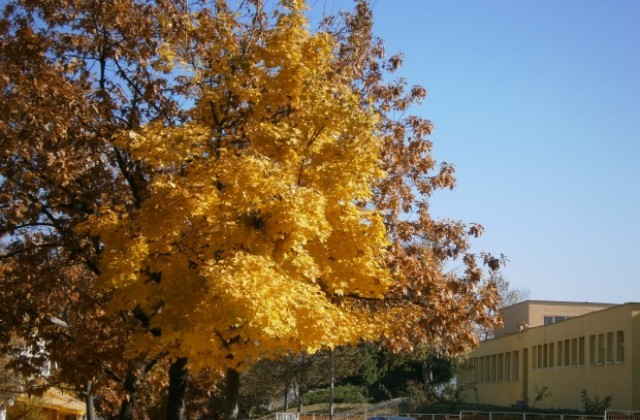 Предимно слънчево